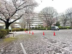 -帝京日语(春熙路旗舰校区)