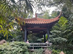 -广州兰圃