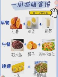 -Fundi张玉珊修身堂·indiba·BTL科技瘦身