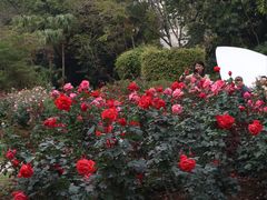 -人民公园(罗湖区)