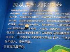 -贵凤凰贵州米粉(望京店)
