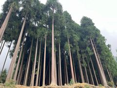 -太阳湾风景区