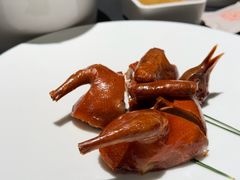 -三强鸽子(中原路店)