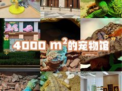 -帕帕拉兹宠物(亚洲旗舰店)