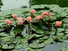 -国家植物园南园