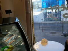 -维尔纳斯·生日蛋糕·动物奶油冰淇淋蛋糕(六里桥店)