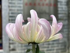 -广州文化公园