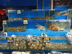 -岳各庄批发市场(西四环中路店)