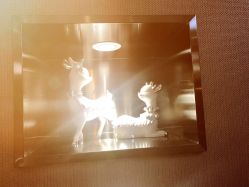 -佐登妮丝美容SPA生活馆