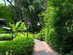 -卷心菜和避孕套餐厅(Pattaya)