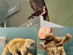 -国家自然博物馆