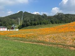 -大连铭湖国际观光牧场