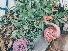 -Jo's Garden