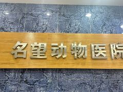 -瑞派名望24h动物医院异宠专科·猫专科·骨科·重症监护分院