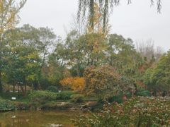 -秋霞圃