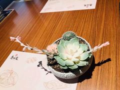 -仓桥家·焗寿司·锅物(光谷步行街店)