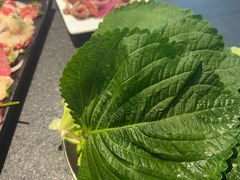 -完美生活炭火烤肉(二马路店)