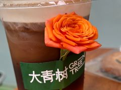 -大青树咖啡(大理古城店)