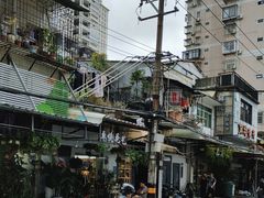 -溪岸路花鸟市场