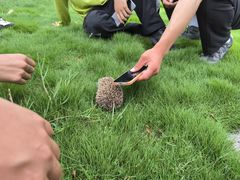 -趣飞飞黑麋峰国际滑翔伞基地