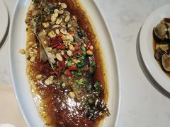 -杨氏青龙虾·羊蝎子(金盛路总店)
