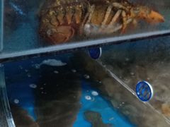 -宾朋海鲜特色美食餐厅·纯手工鲅鱼水饺(兴海路店)