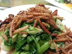 虫吃青菜-新竹里馆·花园餐厅(兴苑路店)