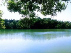 -南宁良凤江国家森林公园