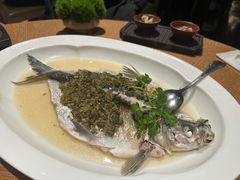 -宁波柏悦酒店·钱湖渔港