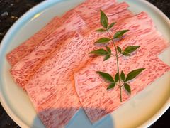 -然锅料理