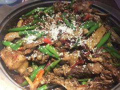 -猫头婴小酒馆FUN OWL(1912店)