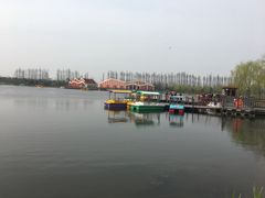 -上海长兴岛郊野公园