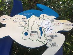 -广东惠东海龟国家级自然保护区