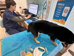 -美迦爱-牙专科·兔科·骨科诊疗中心(北苑店)