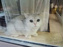 -熙春园餐厅