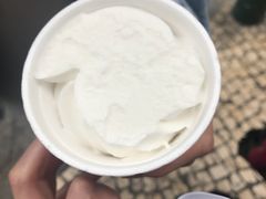 -洪馨椰子