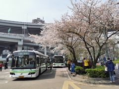 -上海南浦大桥长途旅游客运站