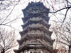 -洋湖国家湿地公园