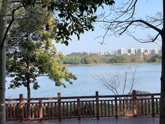 -广东花都湖国家湿地公园