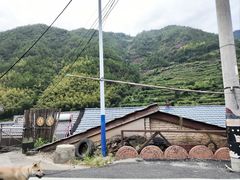 -杨家堂村