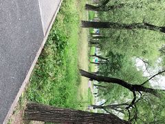 -长春市南湖公园