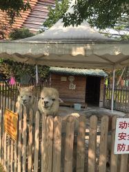 -萌宠亲子动物乐园(槐房万达店)