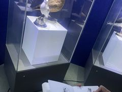 -重庆自然博物馆(新馆)