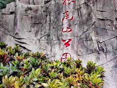 -狐尾山公园