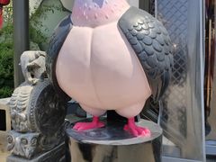 -鸽子张·家宴(黄辛庄旗舰店)