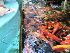 -昆明动物园