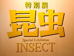 -大阪市立自然史博物馆