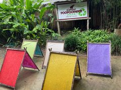 -大象粑粑造纸公园