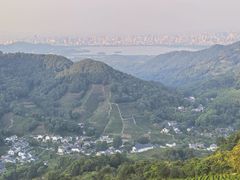 -阿巧茶庄