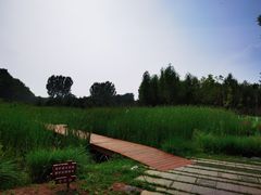 -东郊湿地公园